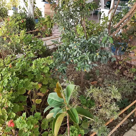 Spacious In With Terrace Apartment Benitses (Corfu)