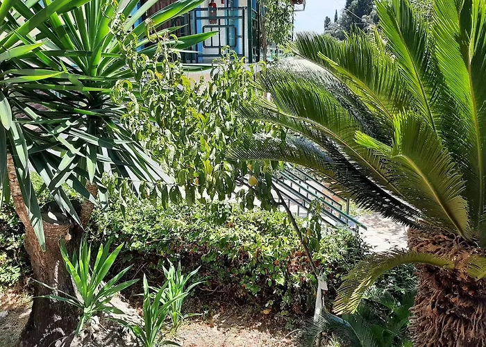 In With Sea Views & Pool Appartement